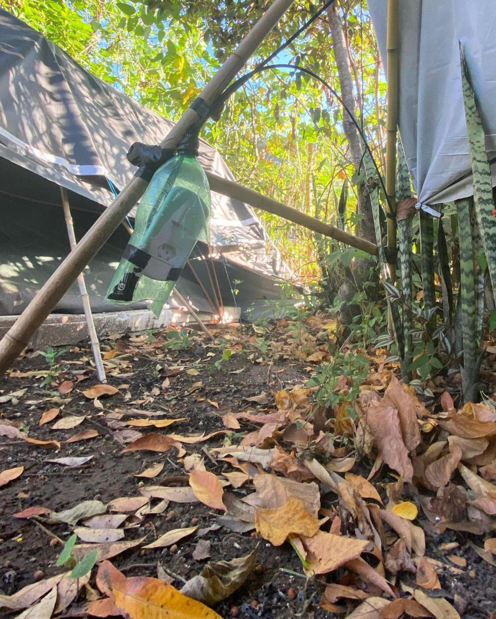 Camping Filhos Da Floresta - Vale Do Capao Buitenkant foto